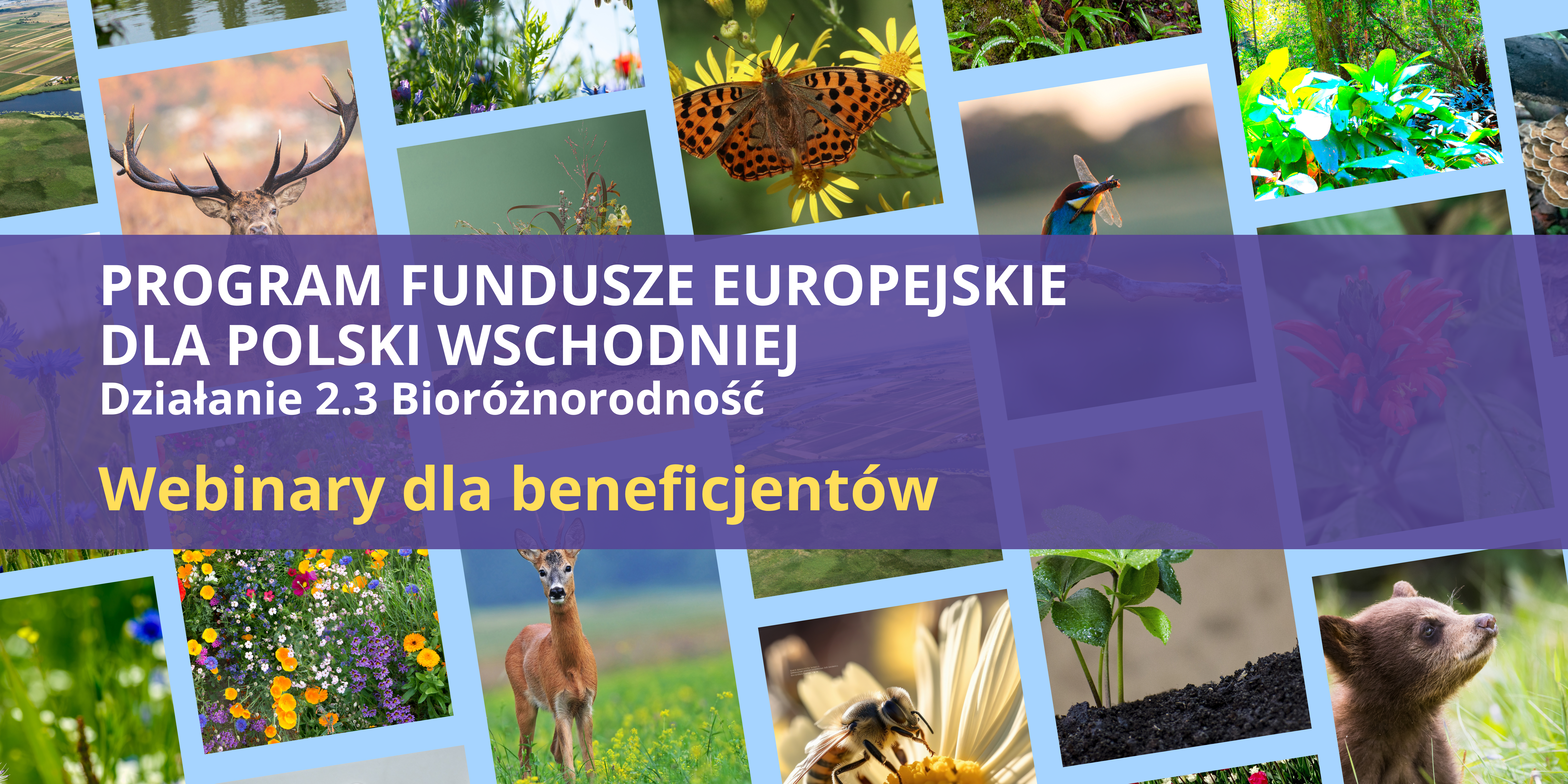 Banner reklamowy webinar Bioróżnorodność FEPW